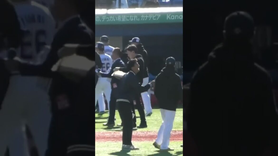 西川遥輝「一年しかいない僕が村上のこと一番知ってる」 #shorts #東京ヤクルトスワローズ