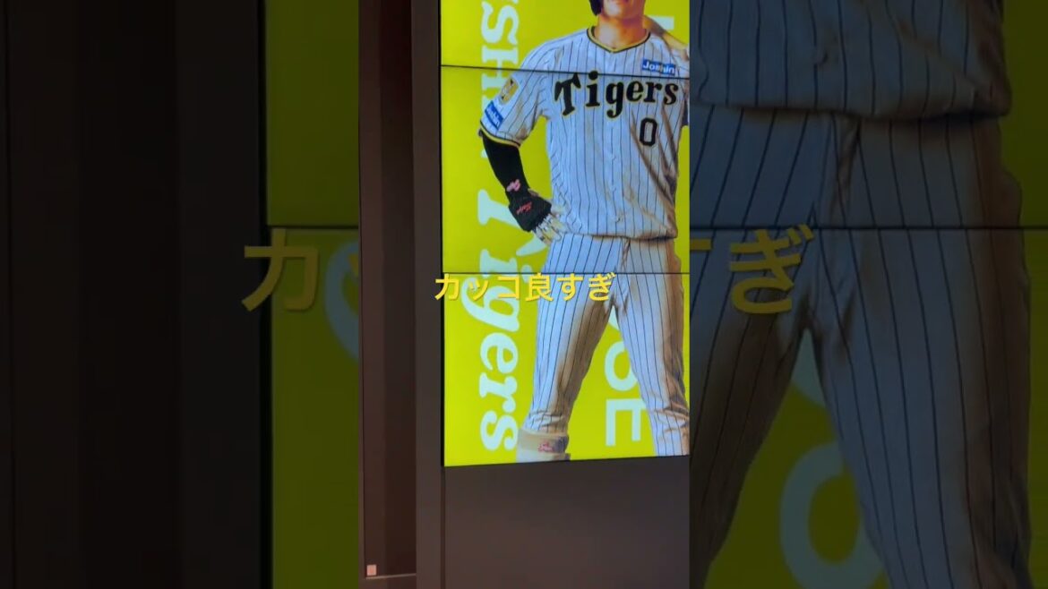 #阪神 #木浪聖也 選手の #shorts