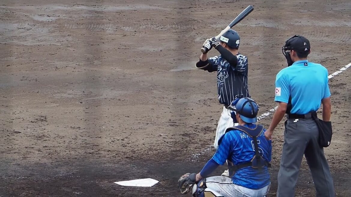 2024.09.01 埼玉西武-横浜DeNA #鈴木将平 打席シーン (カーミニーク)