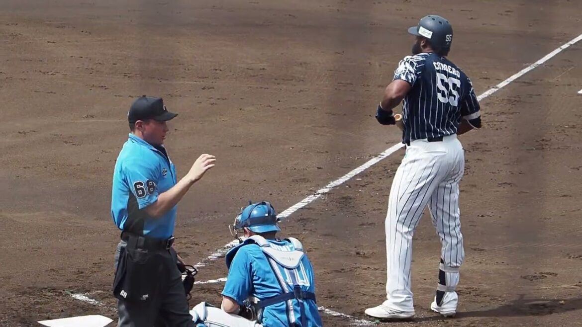 2024.08.27 埼玉西武-北海道日本ハム #コルデロ 打席シーン (カーミニーク)