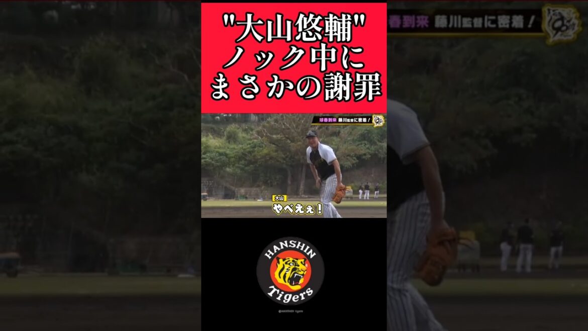 【阪神】"大山悠輔"ノック中にハプニング！ #阪神 #阪神タイガース #大山悠輔  #shorts