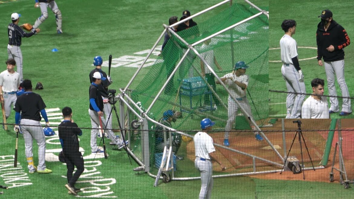 清宮幸太郎､ 万波中正､上川畑大悟､松本剛､レイエスのバッティング練習【プロ野球北海道日本ハムファイターズ】