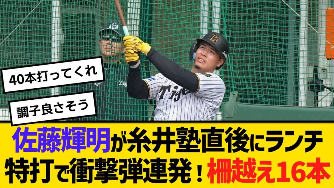 阪神・佐藤輝明が糸井塾直後にランチ特打で衝撃弾連発！柵越え16本　【ネットの反応】【反応集】
