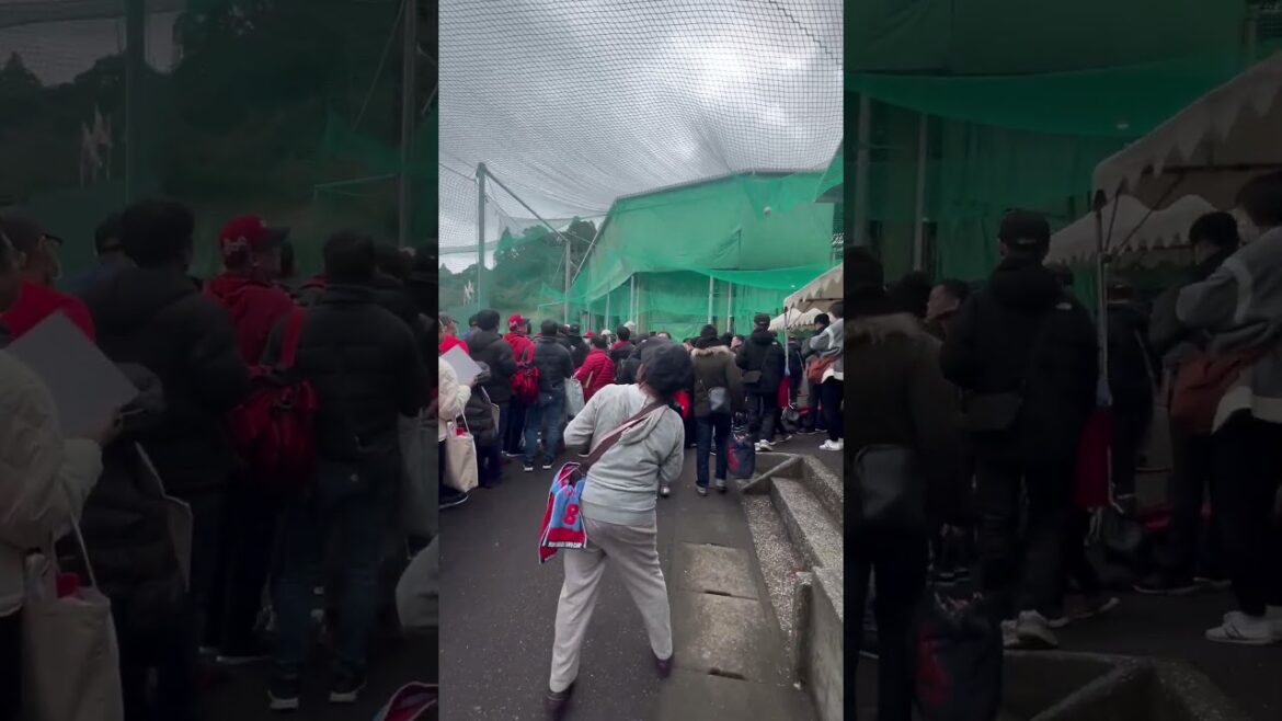 [日南キャンプ] 天福球場の外野で大行列!?その列を辿ってみると、#カープ #プロ野球 #広島東洋カープ #