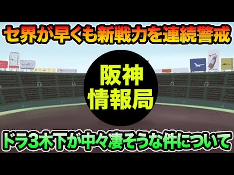 【セ界が早くも連続警戒】ドラ3木下が中々凄そうな件について!! 捕手陣が絶賛した3人の新戦力を徹底解説【阪神タイガース】 【セ界が早くも連続警戒】ドラ3木下が中々凄そうな件について!! 捕手陣が絶賛した3人の新戦力を徹底解説【阪神タイガース】