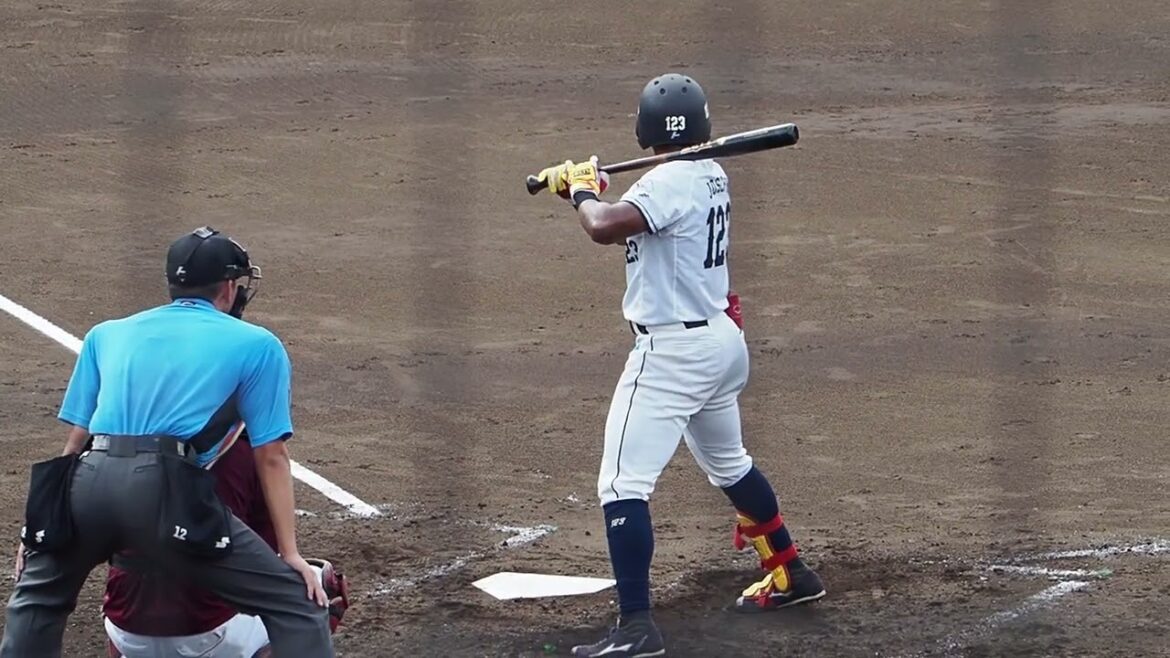 2024.09.08 埼玉西武-東北楽天 #ジョセフ 打席シーン (カーミニーク)