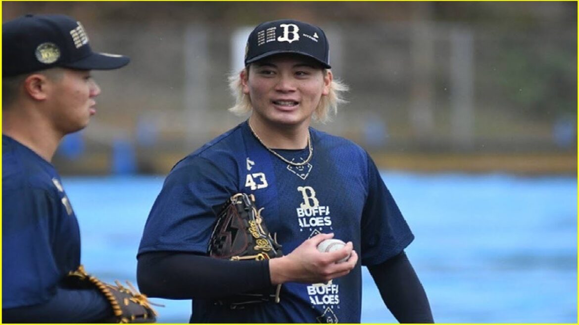 ⚾ 戦力外で折れかけた心…一度は保留した育成の打診、失意の23歳を救った「どうしたんや」🧢 JAPAN