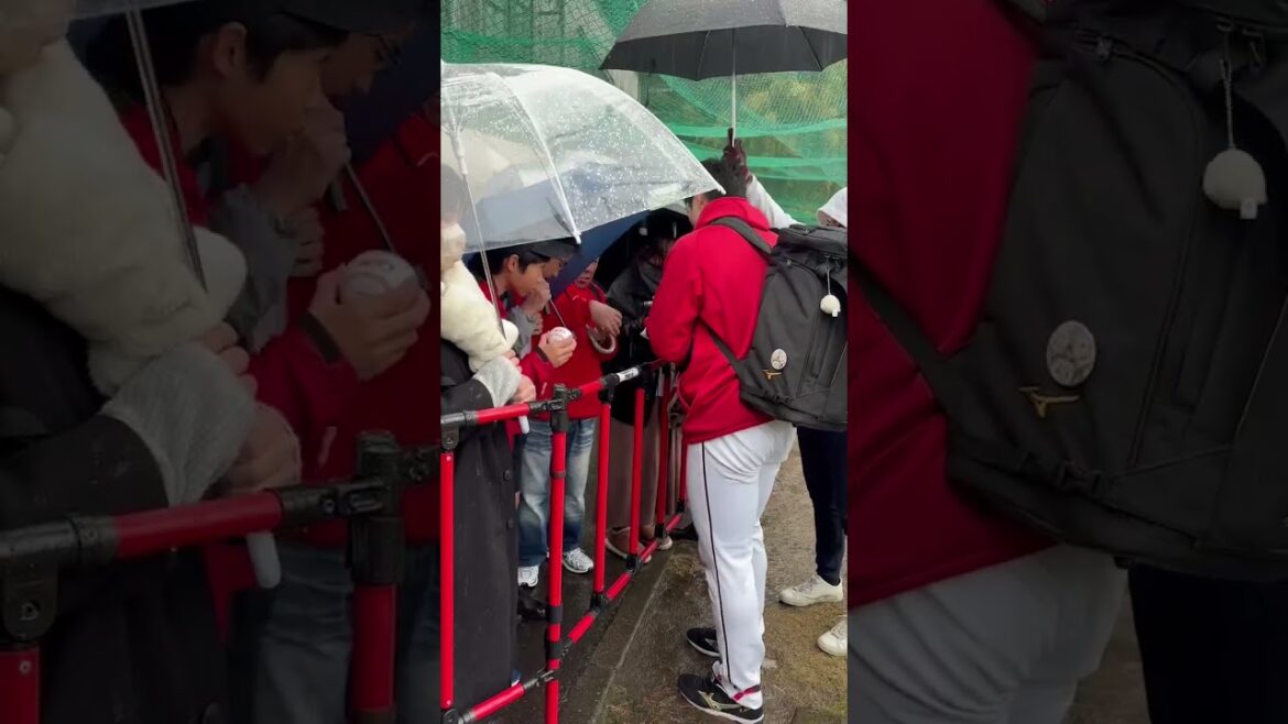 [日南キャンプ] 斉藤優汰も即席サイン会で雨でも来てくれるファンへ対応🔥#カープ #プロ野球 #広島東洋カープ #斉藤優汰