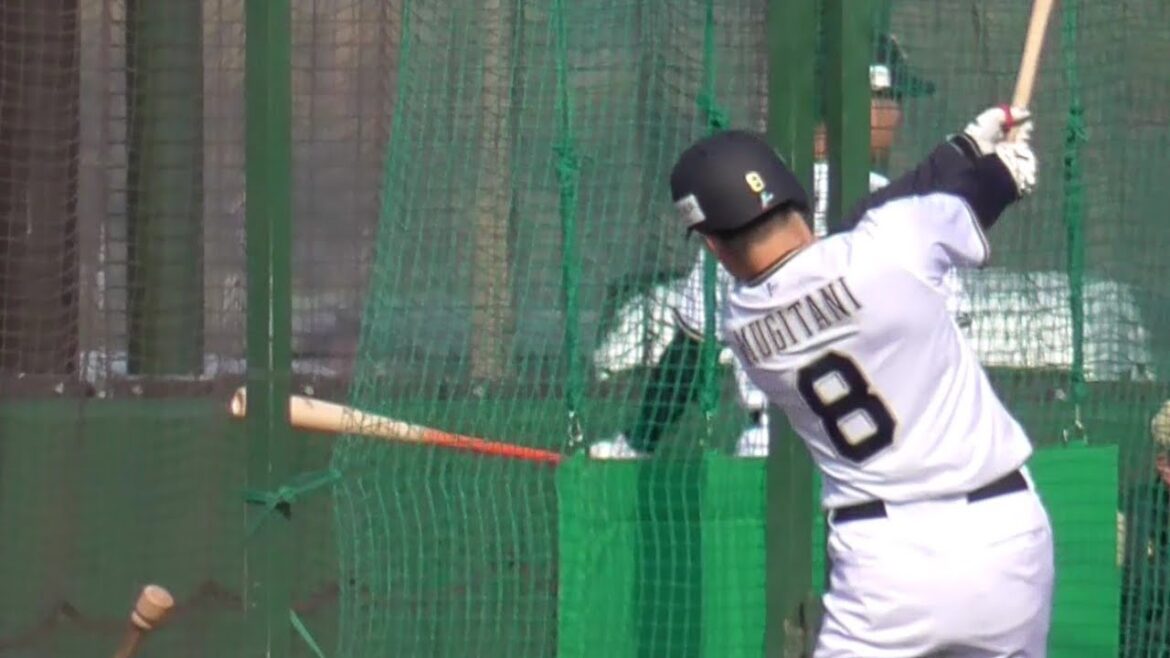【プロ野球】2025年2月3日　オリックスキャンプ　『ドラ１麦谷選手　バッティング 』