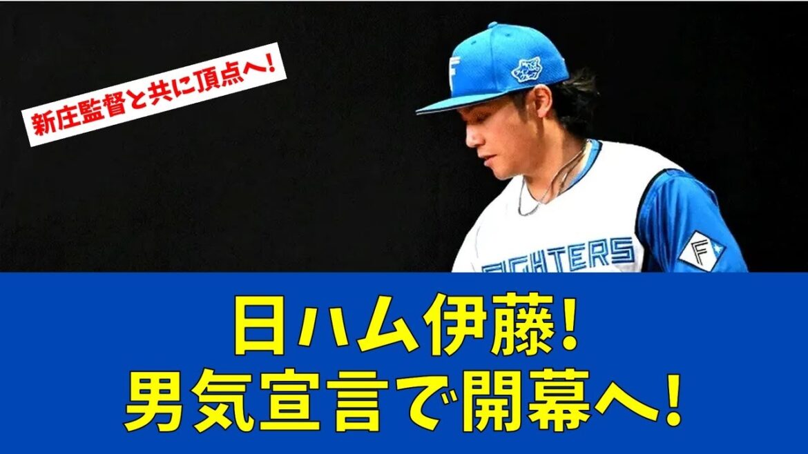 【F速報】日ハム春季キャンプイン!伊藤大海が男気宣言【日ハムファンの反応】
