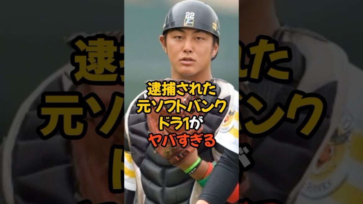 逮捕された元ソフトバンクドラ1がヤバすぎる...