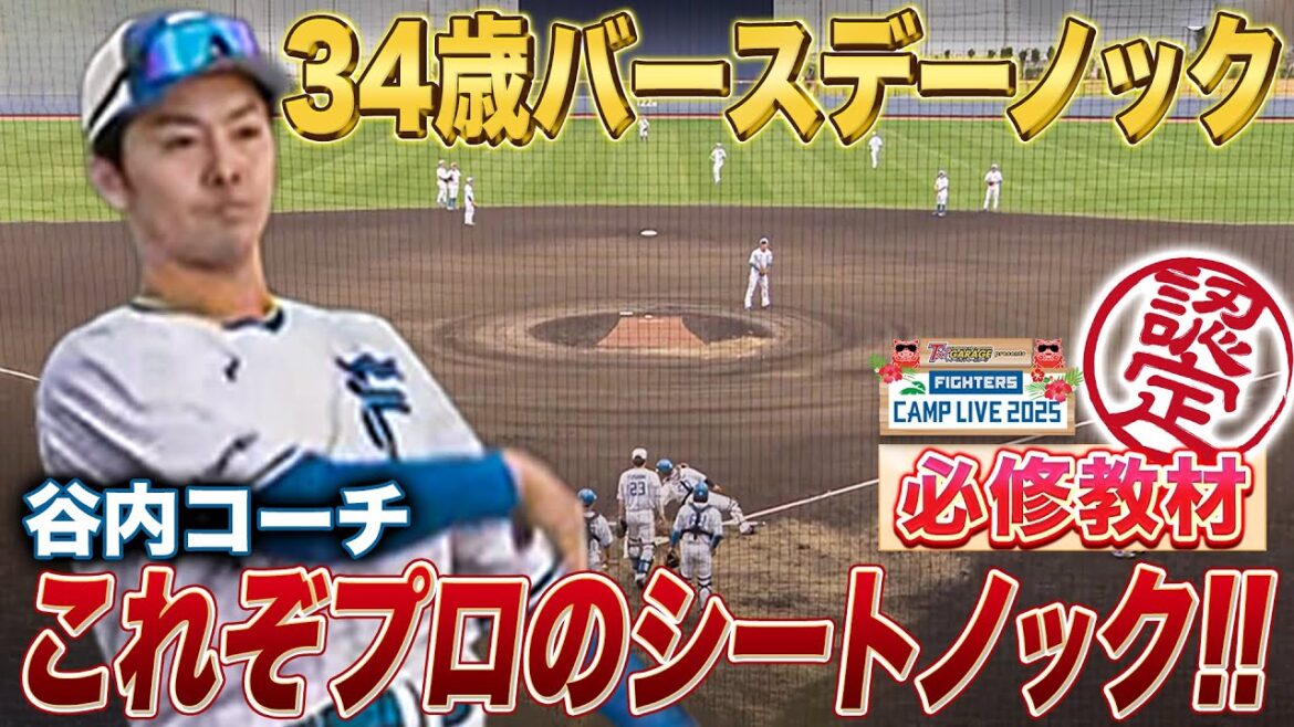 本日誕生日谷内亮太コーチによる今季初シートノック!全選手が魅力を全開放するプロの守備練習<2/3ファイターズ春季キャンプ2025> 本日誕生日谷内亮太コーチによる今季初シートノック!全選手が魅力を全開放するプロの守備練習<2/3ファイターズ春季キャンプ2025>