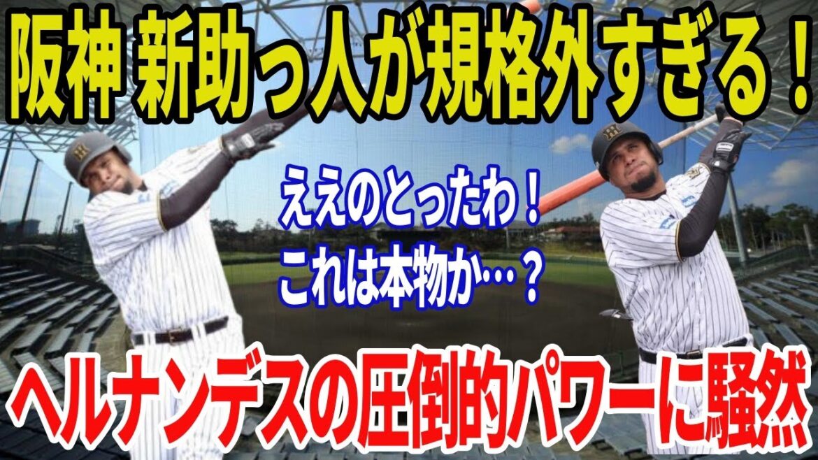 【ええのとったわ！】阪神新助っ人ラモン・ヘルナンデスが衝撃デビュー！初日から柵越え7発＆130m弾の怪物パワー披露！キャンプ地騒然！
