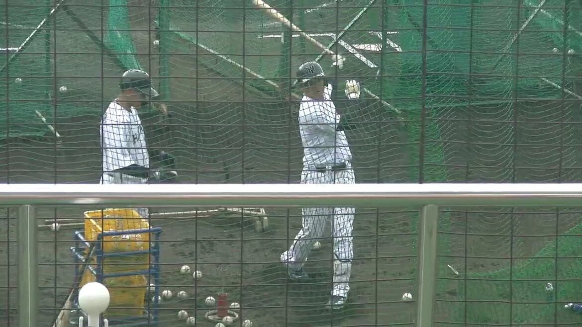 くふうハヤテベンチャーズ キャンプ 西川僚祐選手(元 千葉ロッテマリーンズ)のティーバッティング 2025/2/3