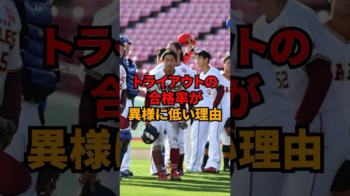 トライアウトの合格率が異様に低い理由