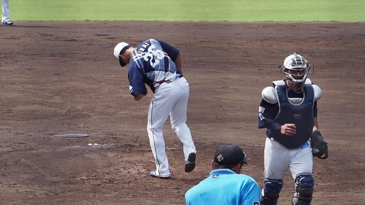 2024.07.07 埼玉西武-読売(カーミニーク) 平井克典 投球シーン