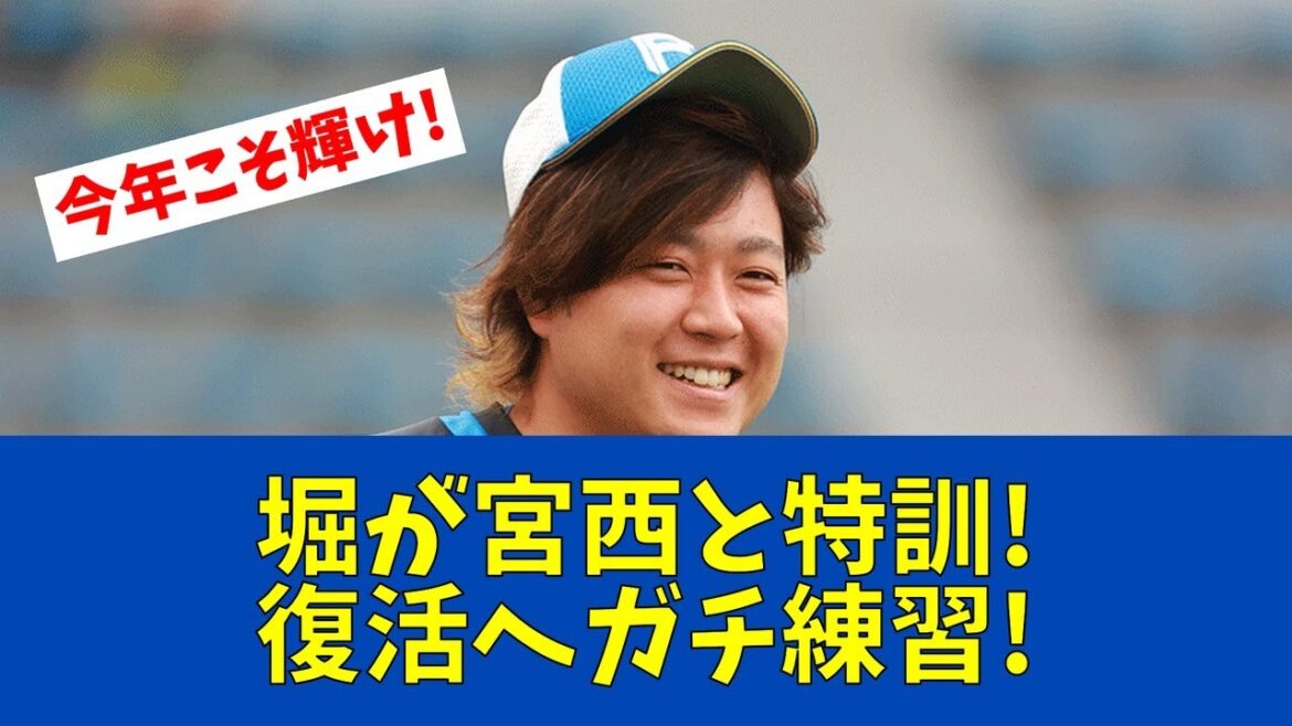 【ファイターズ速報】日本ハム堀瑞輝、宮西との特訓で復活誓う!【日ハムファンの反応】