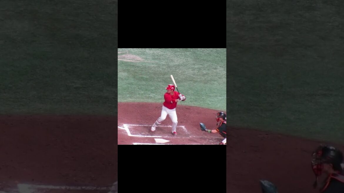 【カープ】坂倉将吾バッティングフォーム＜読売ジャイアンツ 対 広島カープ 2024年4月13日＞