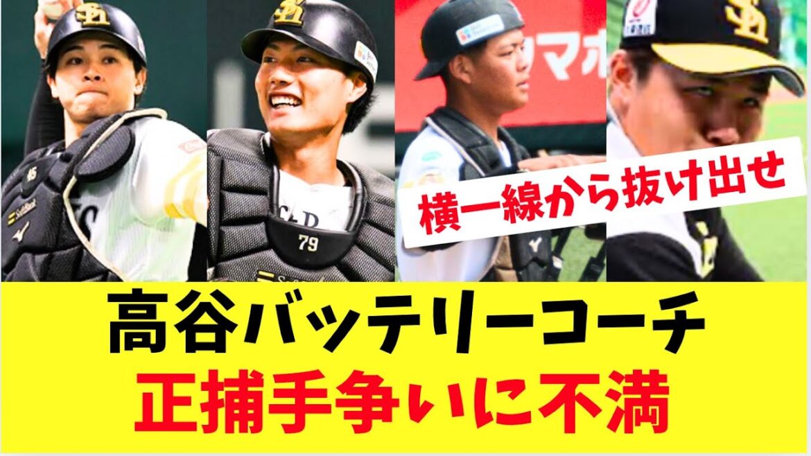 【ホークス】高谷バッテリーコーチ!正捕手争い甲斐の後釜に不満。谷川原、渡邊、盛島、海野 【ホークス】高谷バッテリーコーチ!正捕手争い甲斐の後釜に不満。谷川原、渡邊、盛島、海野