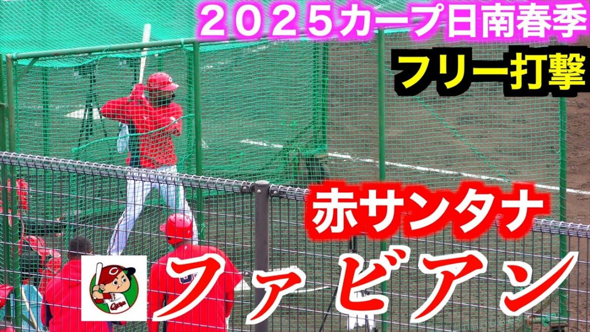 【赤サンタナ】ファビアン（広島東洋カープ）打撃練習！【２０２５春季日南】