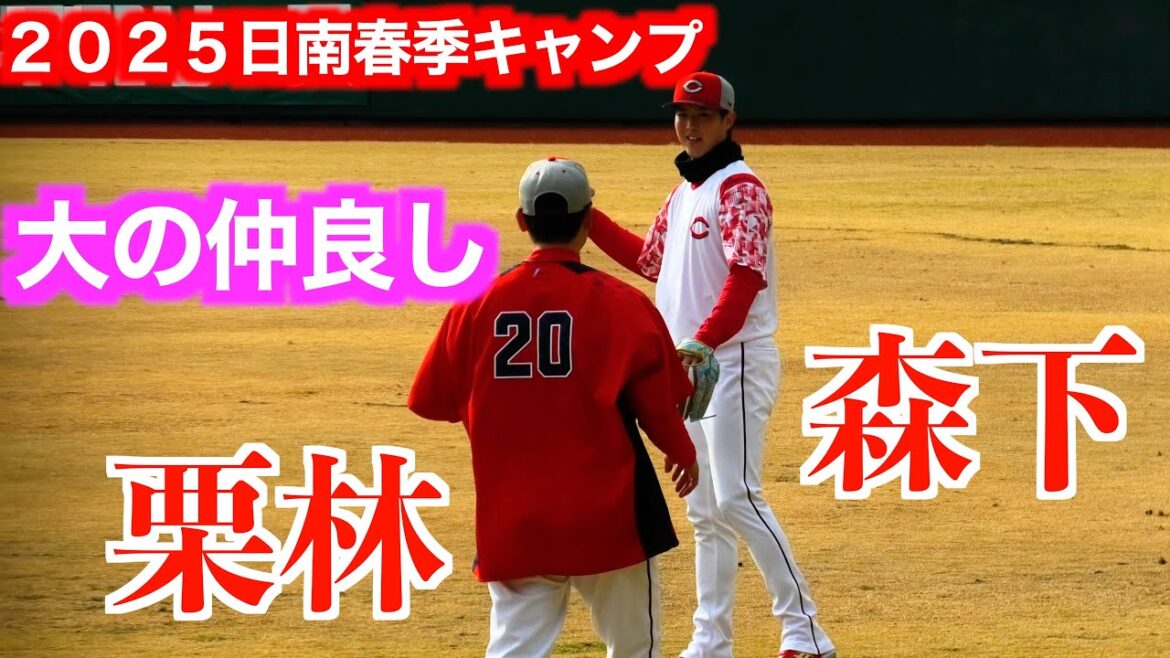 【大の仲良し】栗林良吏&森下暢仁　キャッチボール&遠投【２０２５広島東洋カープ日南春季キャンプ】