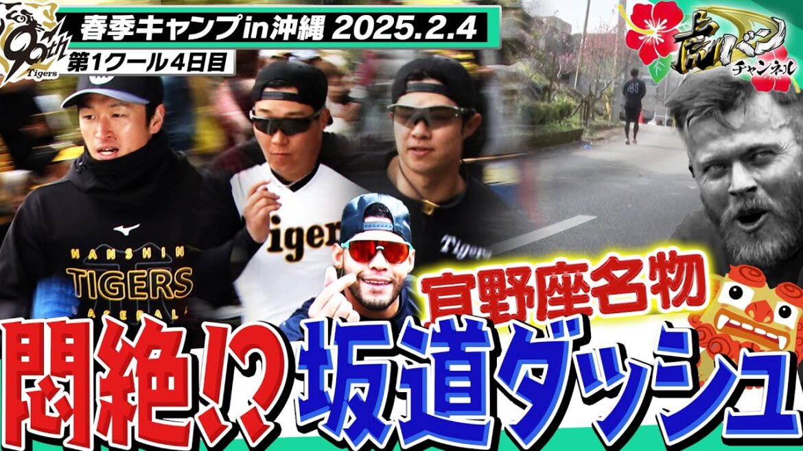 【虎戦士が悶絶！？】沖縄キャンプ名物 坂道ダッシュ！きつ～い坂道を主力も若虎も必死に走り抜ける！！阪神タイガース密着！応援番組「虎バン」ABCテレビ公式チャンネル