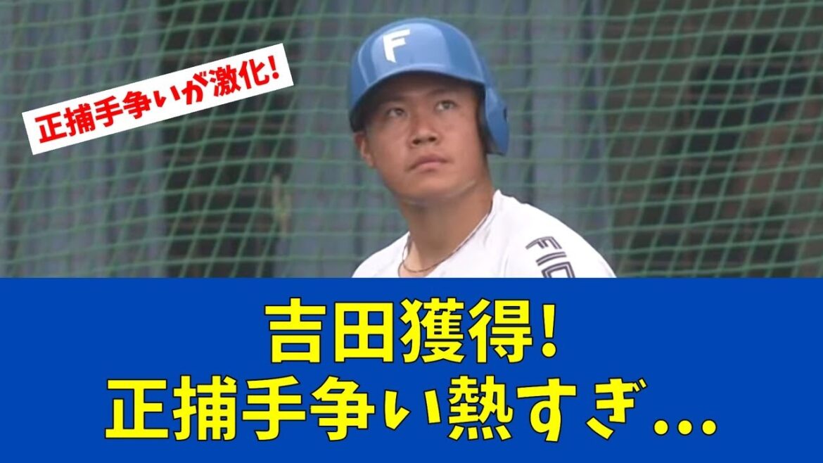 【F速報】日本ハム新加入・吉田賢吾の二塁送球!捕手争いの行方は【日ハムファンの反応】 【F速報】日本ハム新加入・吉田賢吾の二塁送球!捕手争いの行方は【日ハムファンの反応】