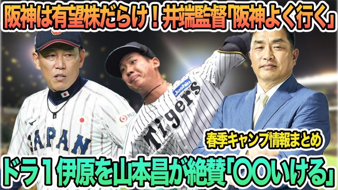 【ドラ1伊原を山本昌が絶賛「〇〇いける」】阪神は有望株だらけ！井端監督「阪神よく見に行く」発言　　阪神タイガース　阪神　藤川監督　山本昌　井端監督　侍ジャパン　伊原陵人　　　春季キャンプ