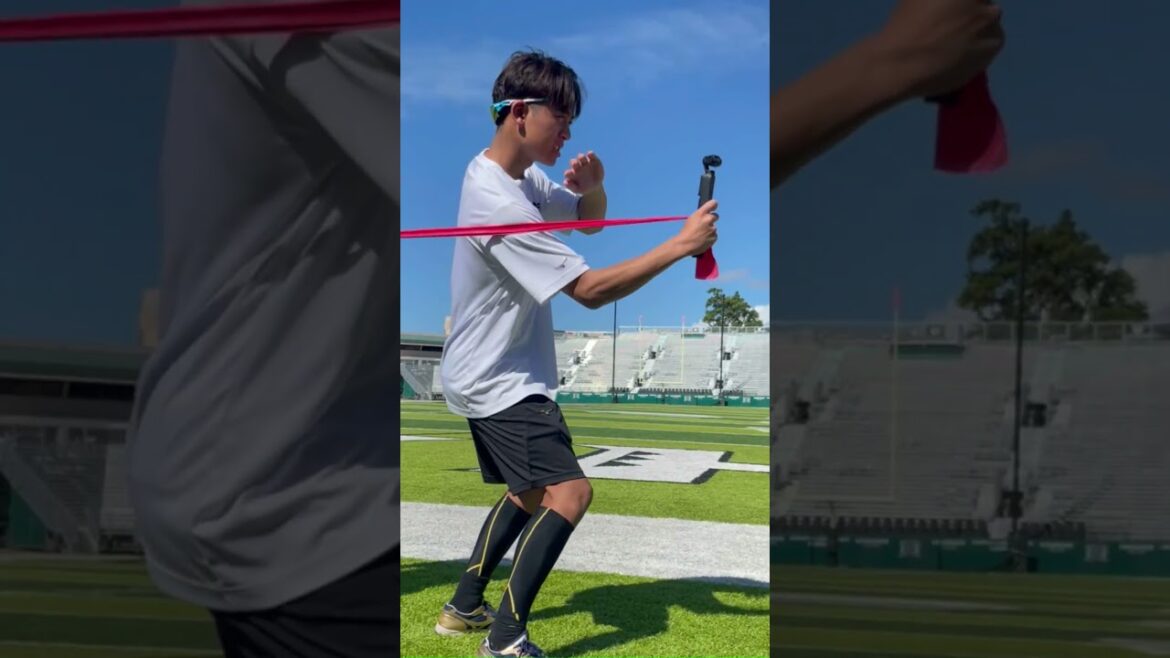 カメラマンもインナーマッスル #shorts #swallows