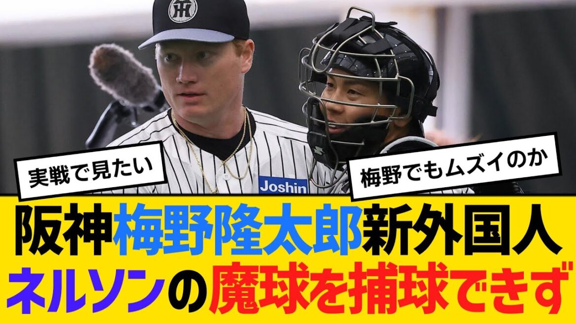 阪神・梅野隆太郎、新外国人ネルソンのナックル魔球を捕球できず仰天！「本当すごい。それ以上言葉ない」　【ネットの反応】【反応集】