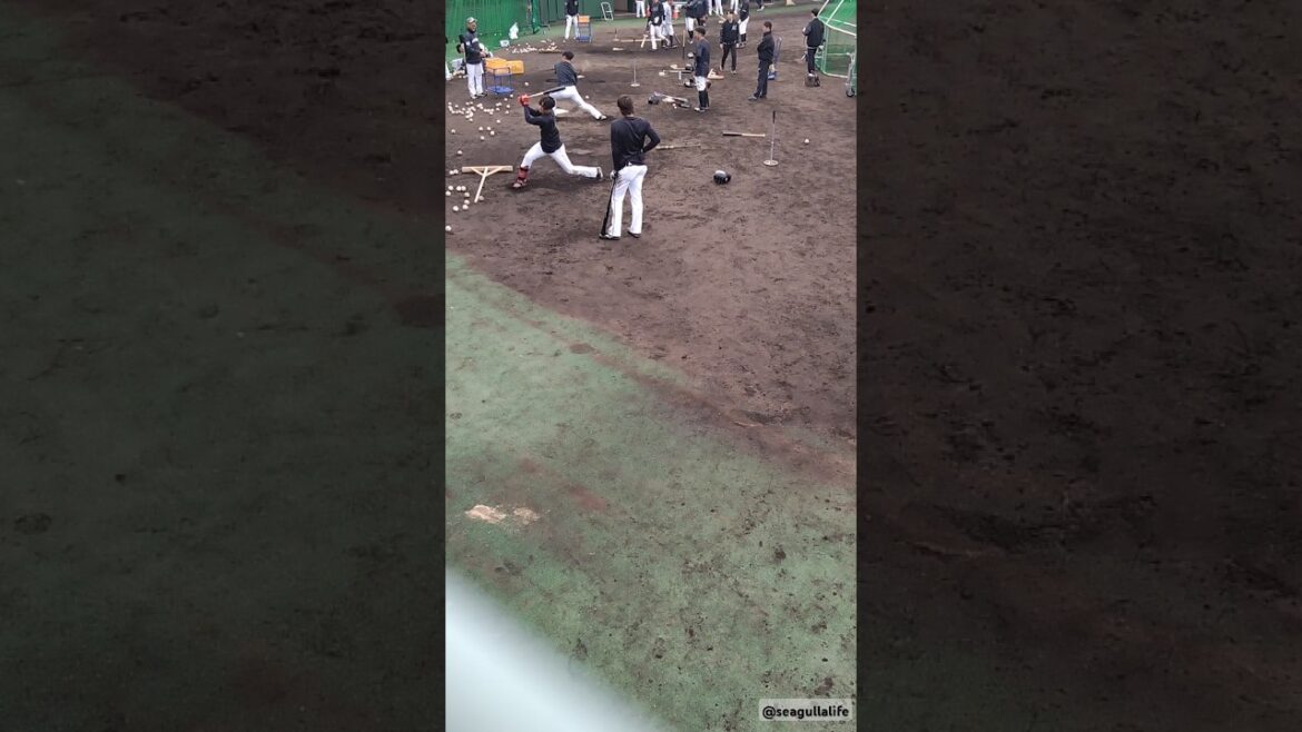 【子供の応援がかわいい!】金田優太-勝又-大下ら打撃練習　25.2.2　千葉ロッテマリーンズ都城春季キャンプ