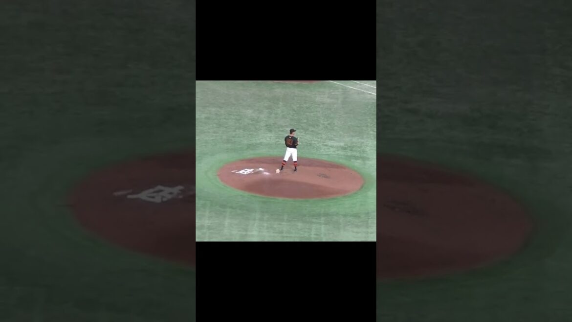 田中広輔を牽制で誘い出してアウトにした井上温大【 読売ジャイアンツ対 広島カープ2024年4月13日】