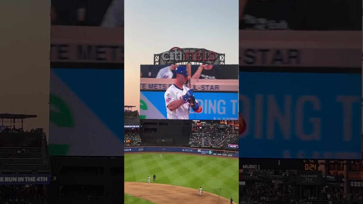 Pete Alonso Walk Up Song 6/13/24 - Working Man. #newyork #mets #nyc #citifield
