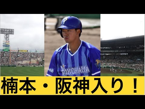 【虎の補強・第1弾】阪神タイガース、楠本泰史選手を獲得!【秘めたその力、花咲せろ】 【虎の補強・第1弾】阪神タイガース、楠本泰史選手を獲得!【秘めたその力、花咲せろ】