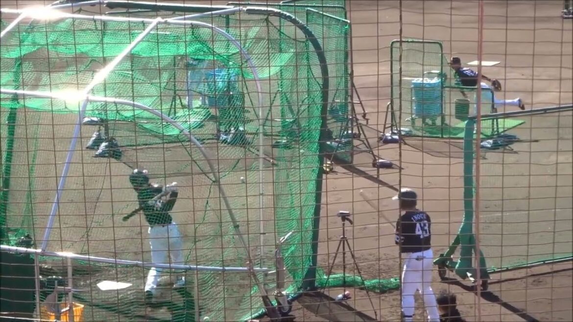 井上朋也・リチャード・笹川吉康、フリーバッティング（2025.02.04）　～ソフトバンクホークス春季キャンプ2025～