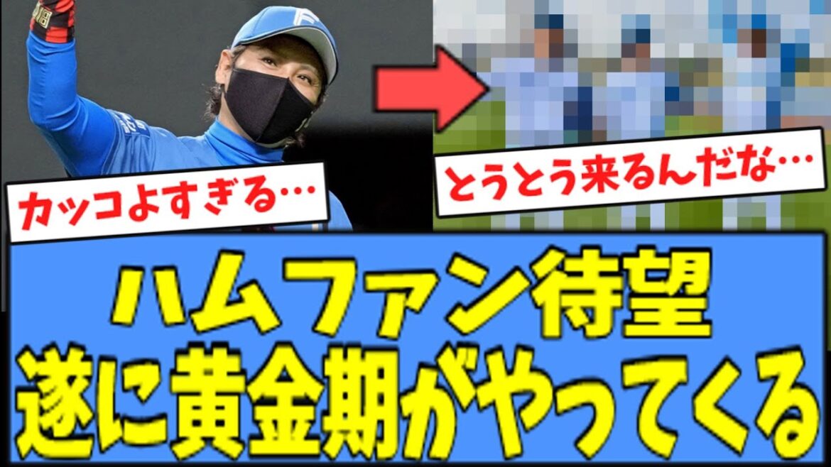 【ハムファン歓喜】日本ハムファイターズ、遂に"黄金期"がやってくる…！！