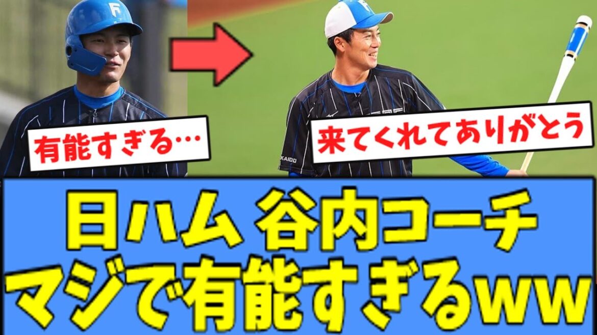 【感謝】日ハム 谷内コーチ、"有能すぎる"と話題になるｗｗｗ