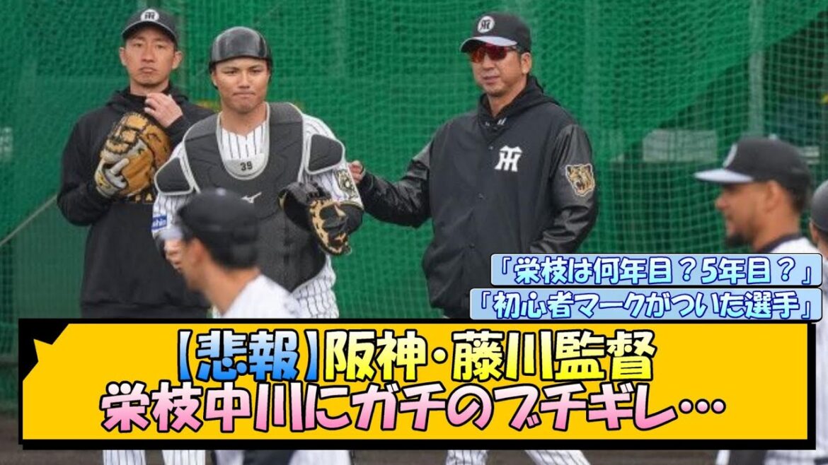 【悲報】阪神・藤川監督 栄枝中川にガチのブチギレ…【なんJ/2ch/5ch/ネット 反応 まとめ/阪神タイガース/藤川球児】