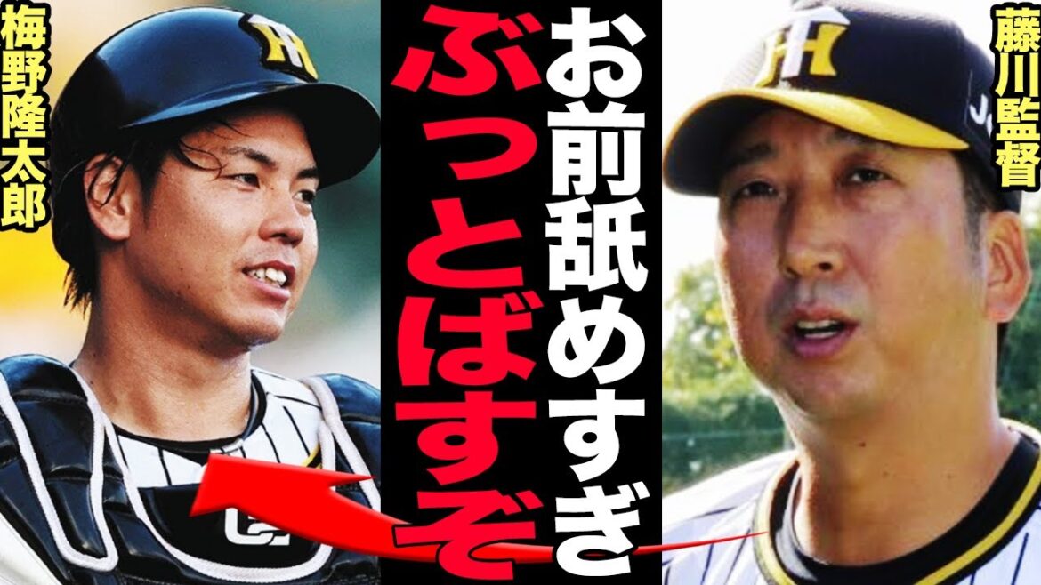 梅野隆太郎の舐め腐った態度に藤川監督大激怒！正捕手候補が「力のないベテラン」であることを自ら証明した真相に言葉を失う…岡田前監督も警告した梅野の劣化ぶりに驚きを隠せない！【プロ野球】
