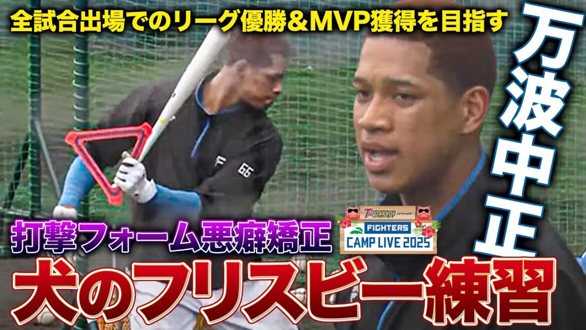【珍メニュー】打撃フォーム悪癖矯正へ万波中正の犬のフリスビー練習に密着<2/3ファイターズ春季キャンプ2025> 【珍メニュー】打撃フォーム悪癖矯正へ万波中正の犬のフリスビー練習に密着<2/3ファイターズ春季キャンプ2025>