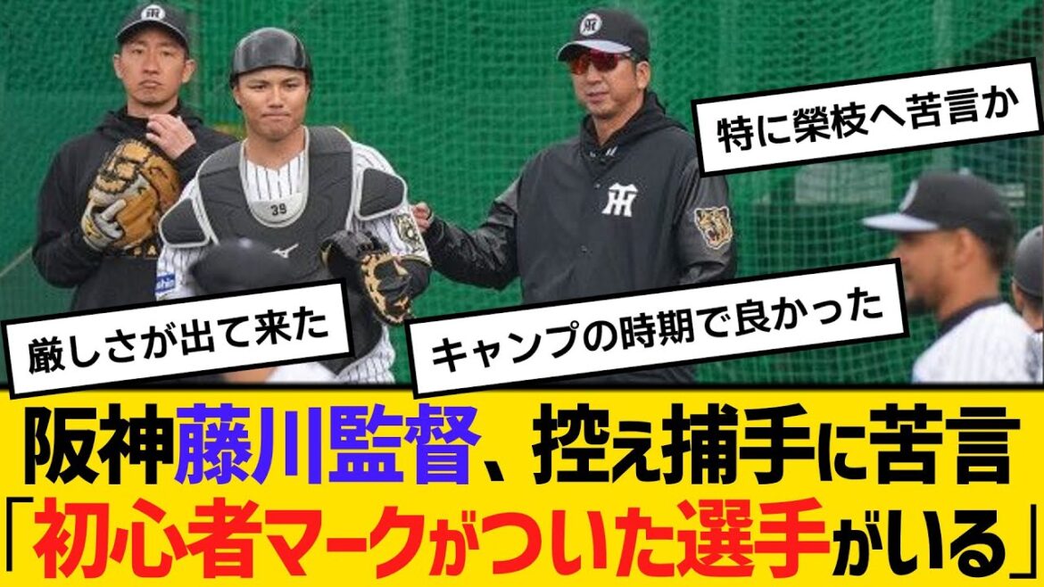 阪神・藤川監督、控え捕手に苦言「初心者マークがついた選手がいる」　【ネットの反応】【反応集】
