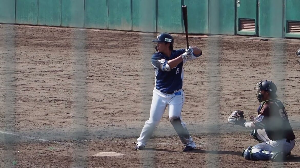 2024.08.18 BC茨城-埼玉西武 #仲三河優太 打席シーン (笠間市民球場) 2024.08.18 BC茨城-埼玉西武 #仲三河優太 打席シーン (笠間市民球場)