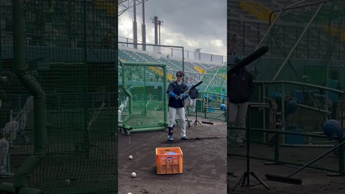 目指すは初本塁打⁉打撃練習をする投手 #山﨑福也💪#lovefighters