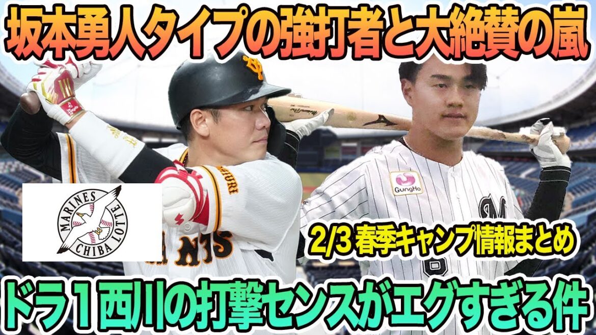 【ロッテ】坂本勇人タイプの強打者と絶賛の嵐ドラ1西川の打撃センスがエグすぎる件について　ロッテ　千葉ロッテ　マリーンズ　坂本勇人　西川史礁　春季キャンプ　　吉井監督