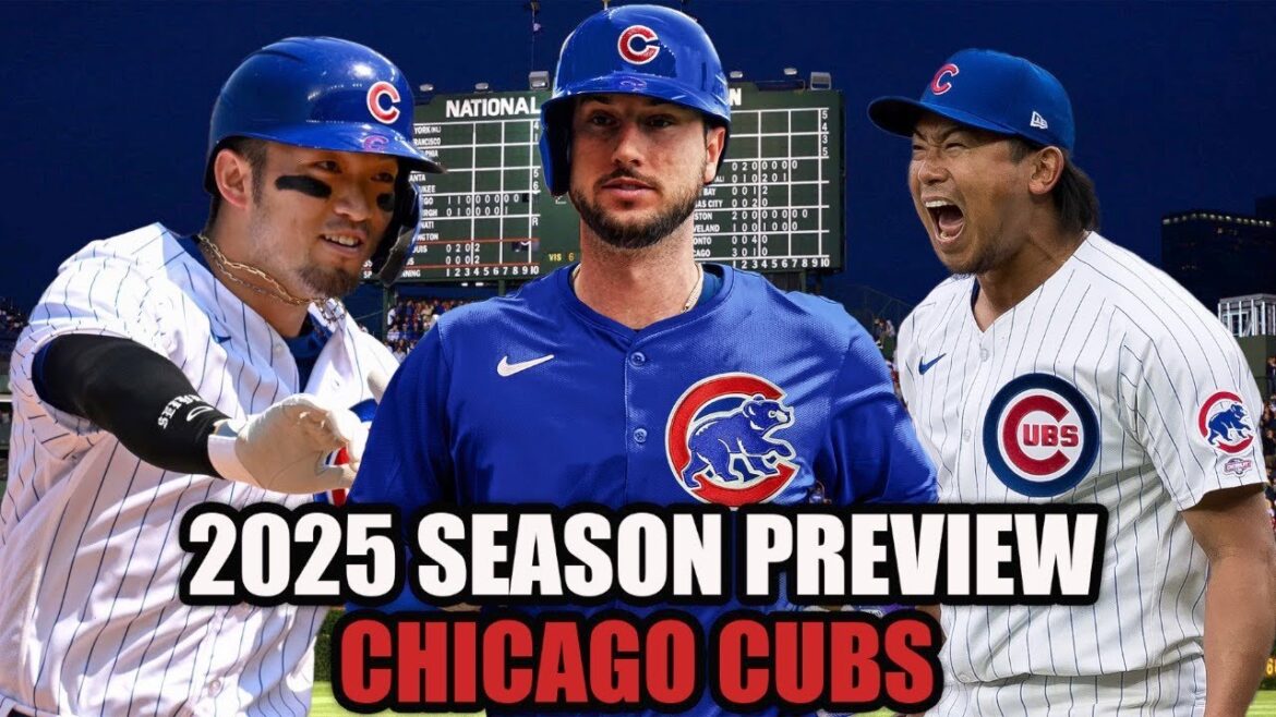 Chicago Cubs 2025 MLB Season Preview