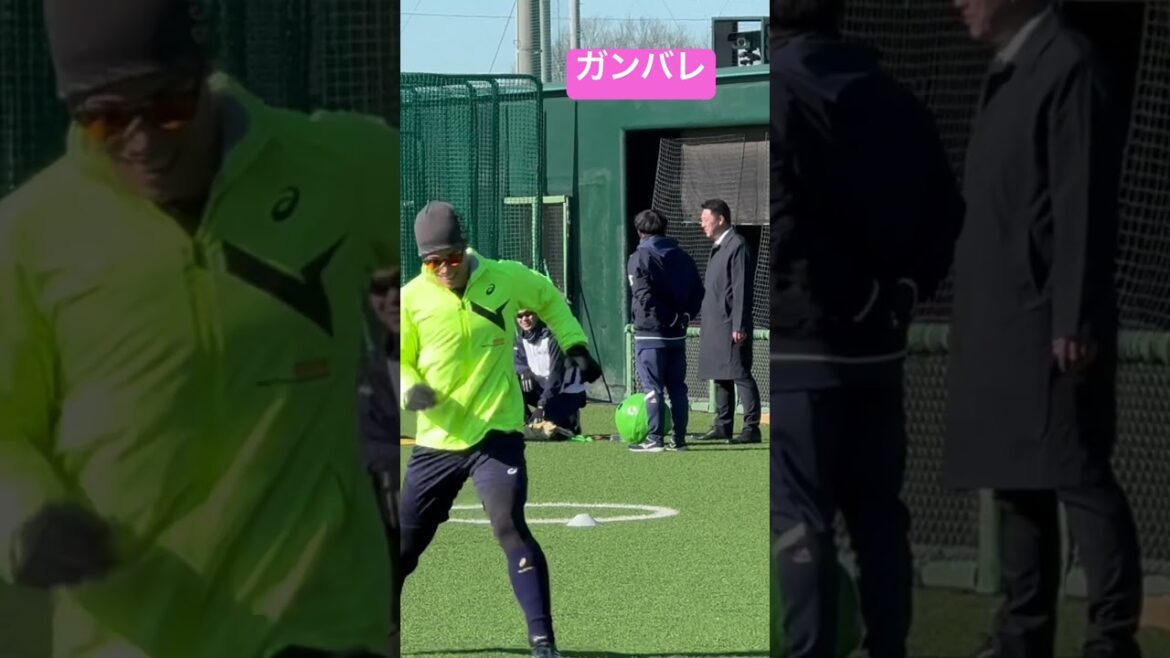 塩見泰隆選手自主練ガンバレ