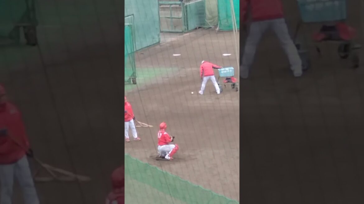 持丸泰輝選手の守備練習　#広島東洋カープ2025年春季キャンプ