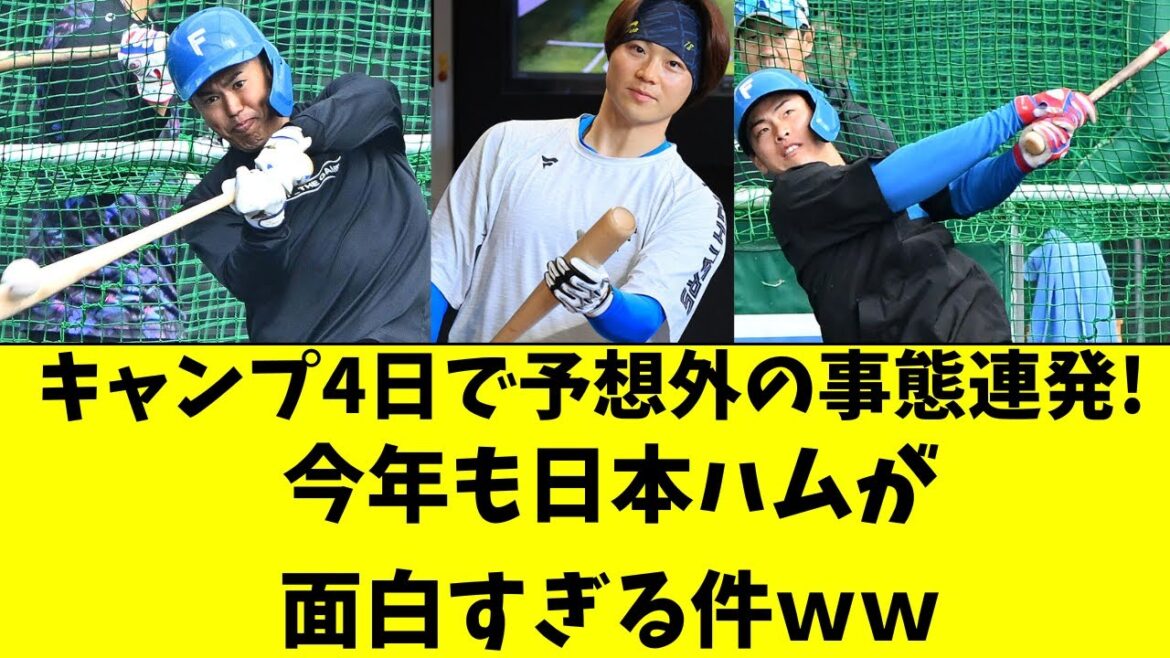 【日ハム】キャンプ４日で予想外の事態連発！今年ハム面白い