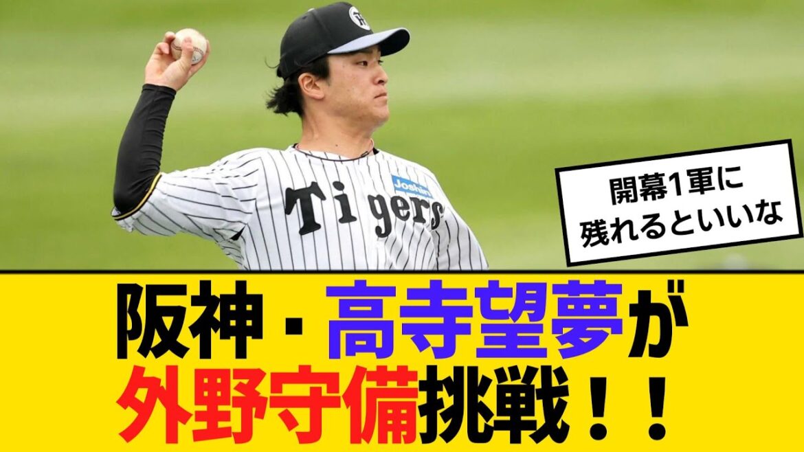 阪神・高寺望夢が外野守備挑戦！！「初めてにしてはしっかりできた」　【ネットの反応】【反応集】