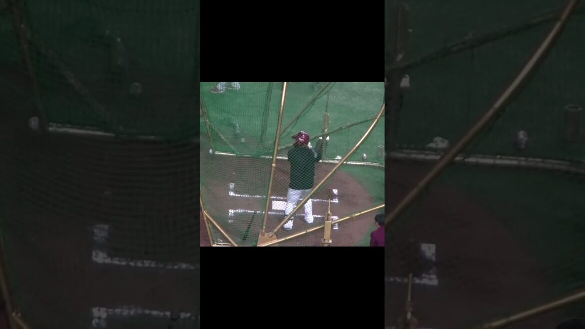 【イーグルス】石原彪のフリーバッティング  東京ドーム2024年3月23日 読売ジャイアンツ対 楽天ゴールデンイーグルス 試合前 #プロ野球 #野球 #baseball